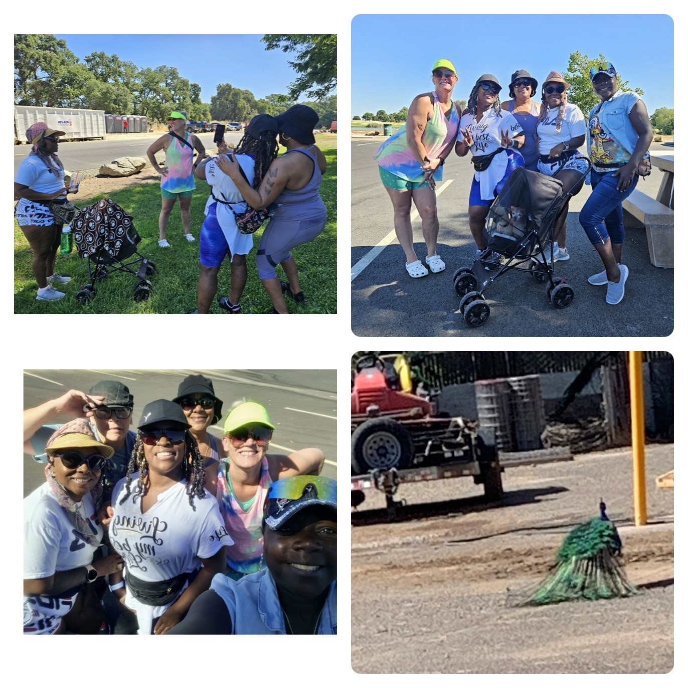 photo of awakeningNow events NatureTrail