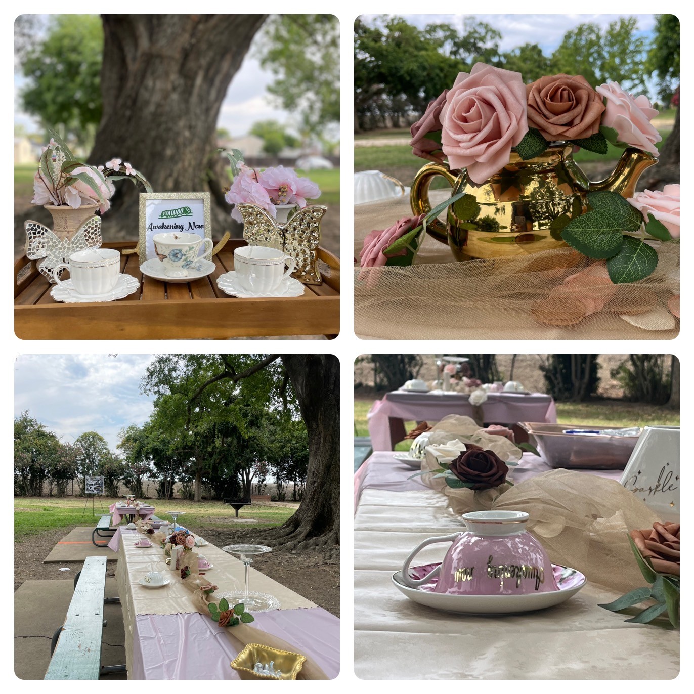 photo of awakeningNow events TeaParty